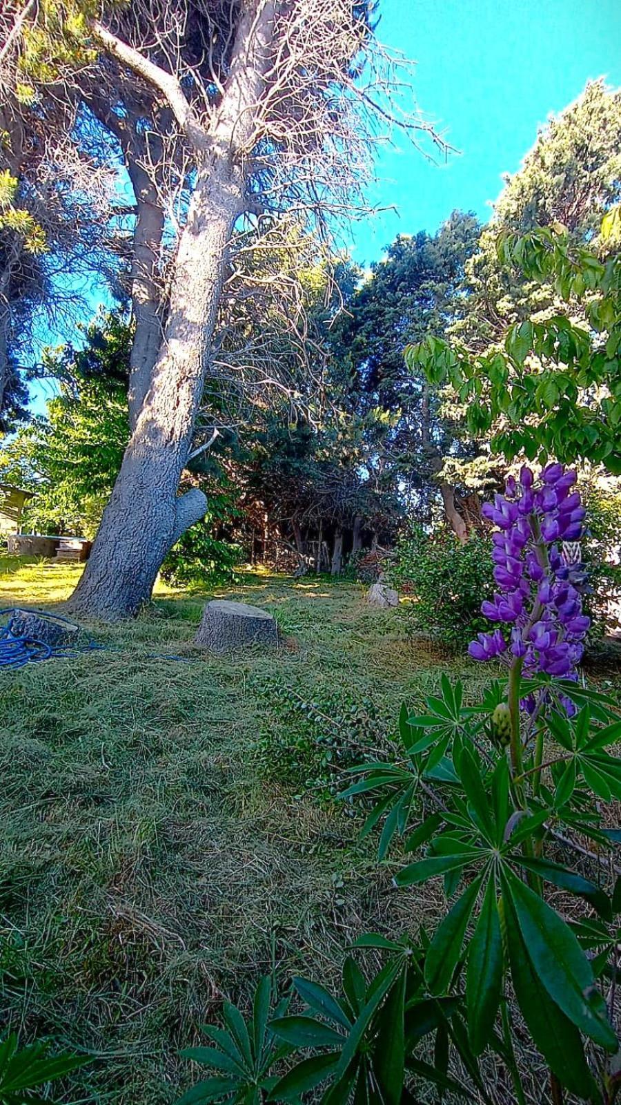 Casa Del Condor San Carlos de Bariloche Exterior photo